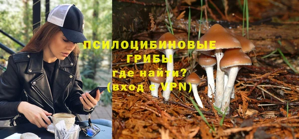 apvp Вязники