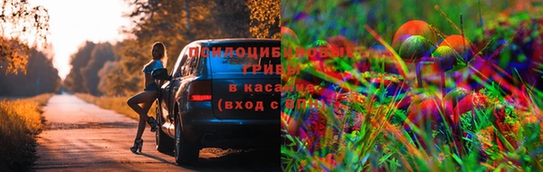 apvp Вязники