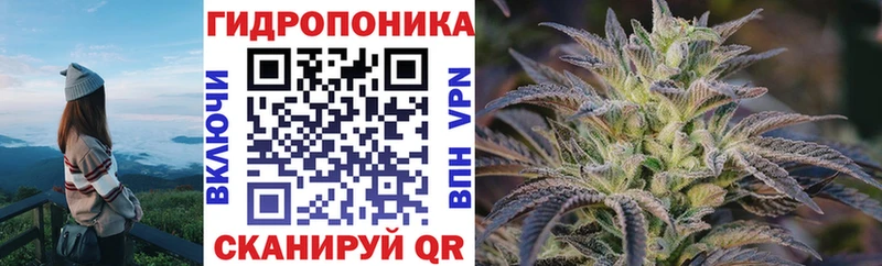 Конопля Bruce Banner  Купить  Холм 